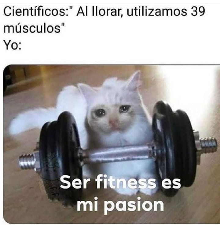 Científicos: Al llorar, utilizamos 39 músculos.  Yo: Ser fitness es mi pasión.