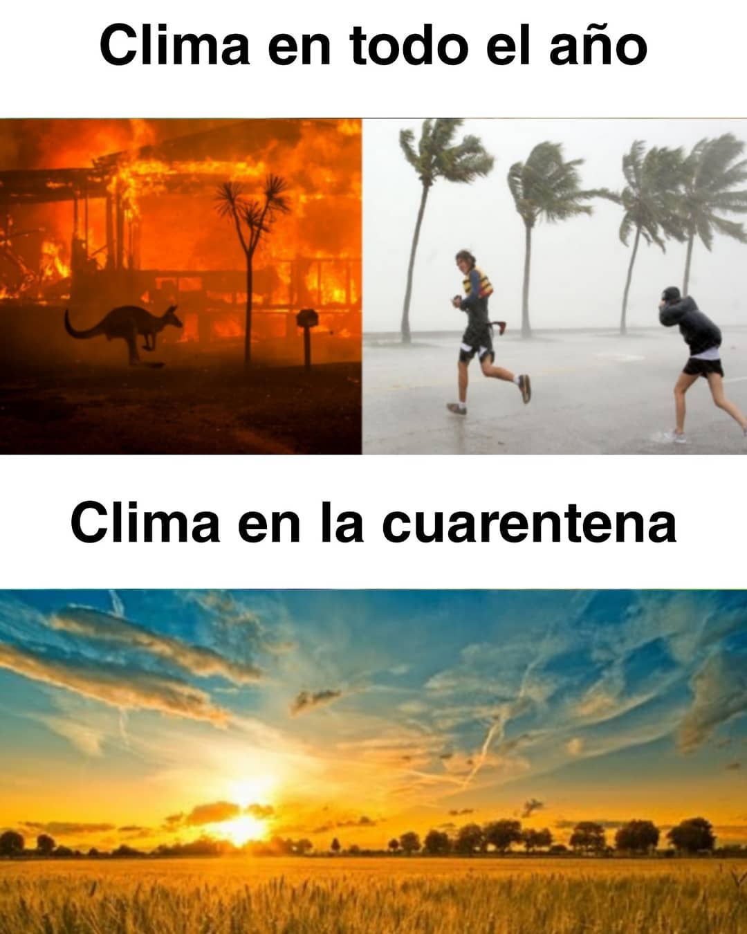 Clima en todo el año. Clima en la cuarentena.