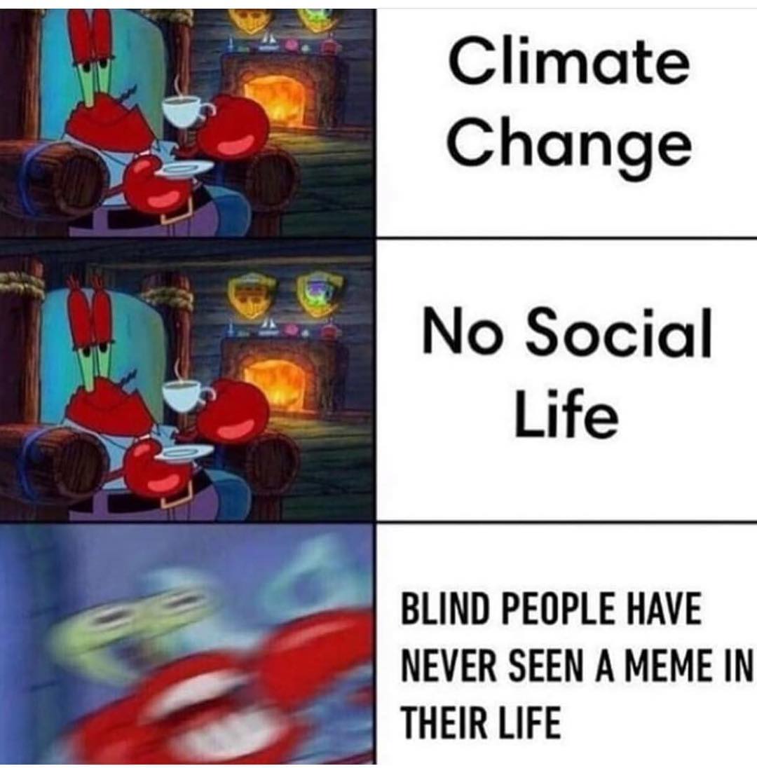 Climate Change. No Social Life. Blind people have never seen a meme in their life.