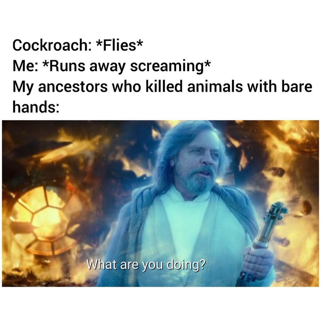 Cockroach: *Flies*  Me: *Runs away screaming*  My ancestors who killed animals with bare hands: What are you doing?