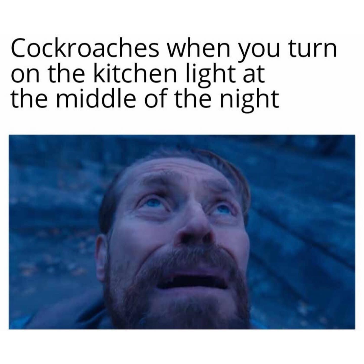 Cockroaches when you turn on the kitchen light at the middle of the night.