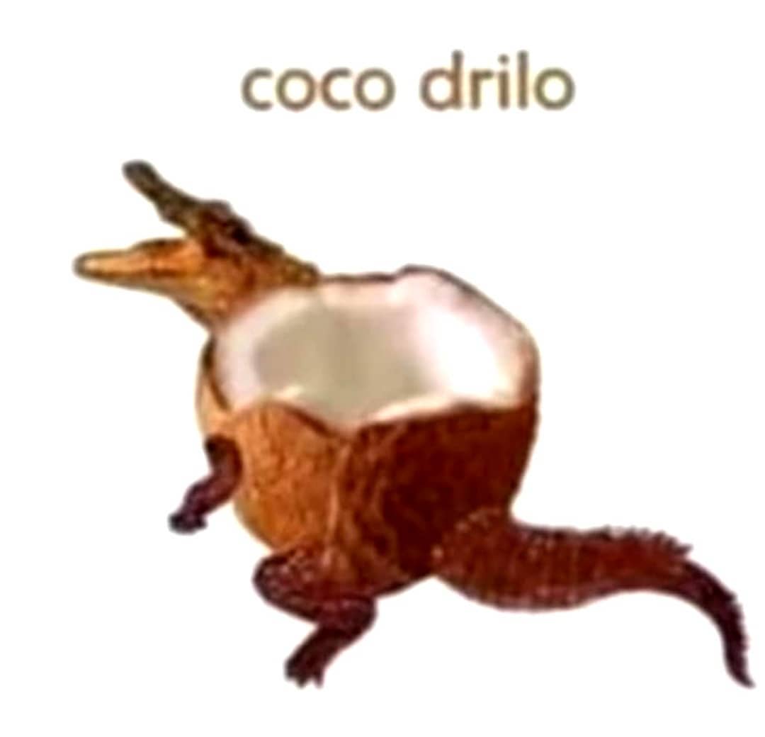 Coco drilo.