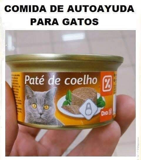Comida de autoayuda para gatos.