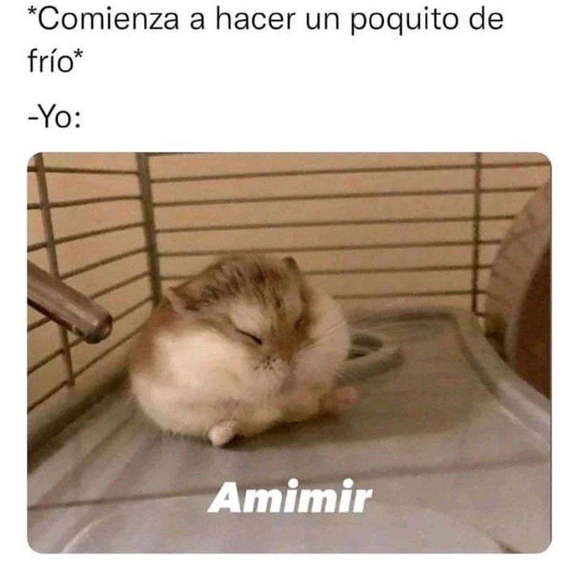 *Comienza a hacer un poquito de frío* Yo: Amimir.