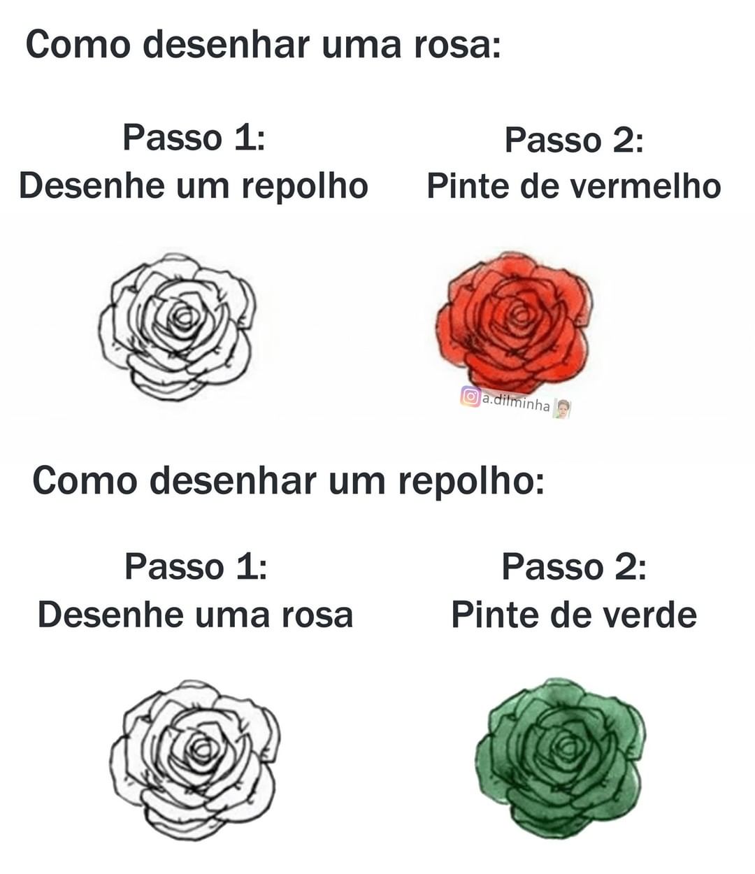 Como desenhar uma rosa: Passo 1: Desenhe um repolho. Passo 2: Pinte de vermelho.  Como desenhar um repolho: Passo 1: Desenhe uma rosa. Passo 2: Pinte de verde.