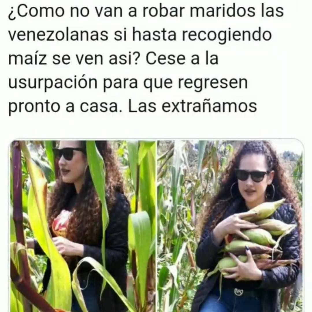 ¿Como no van a robar maridos las venezolanas si hasta recogiendo maíz se ven asi? Cese a la usurpación para que regresen pronto a casa. Las extrañamos.