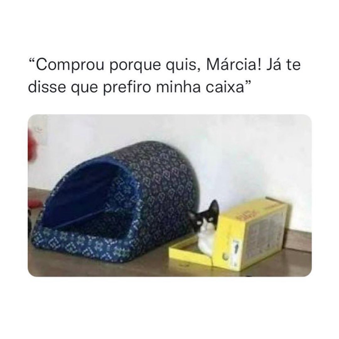 "Comprou porque quis, Márcia! Já te disse que prefiro minha caixa".