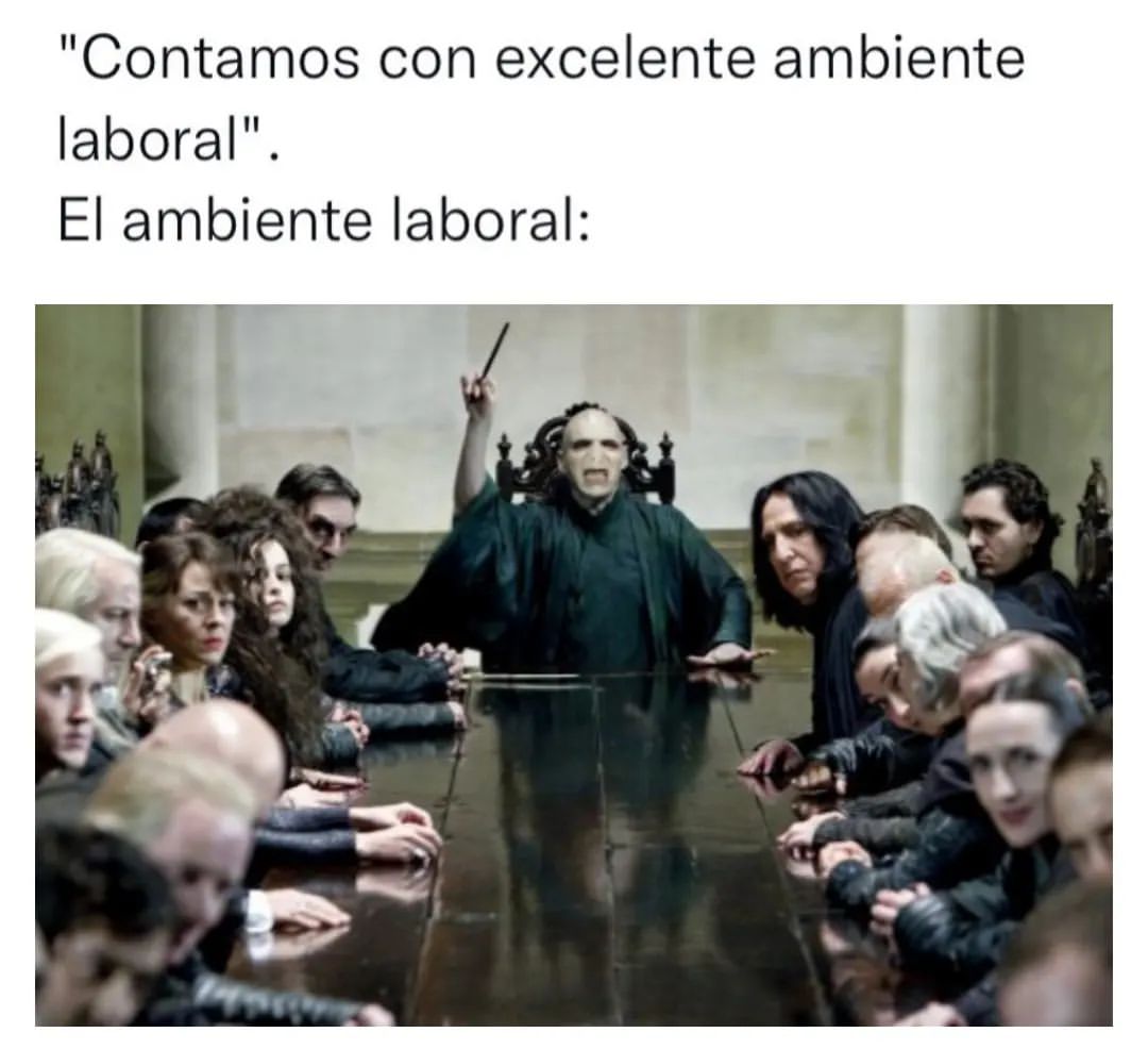 "Contamos con excelente ambiente laboral". El ambiente laboral: