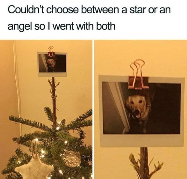 Couldn't choose between a star or an angel so I went with both.