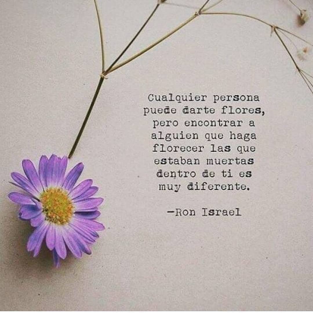 Cualquier persona puede darte flores, pero encontrar a alguien que haga florecer las que estaban muertas dentro de ti es muy diferente.