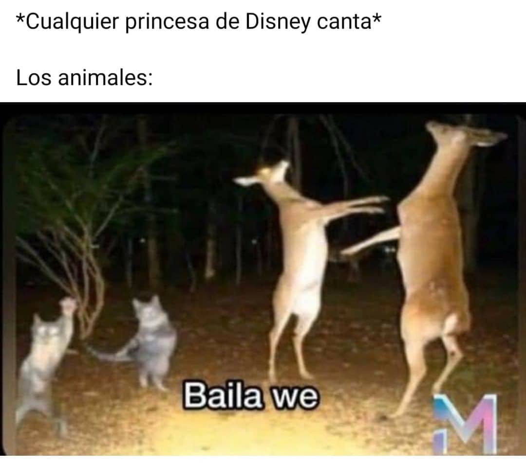 *Cualquier princesa de Disney canta*  Los animales: Baila we.