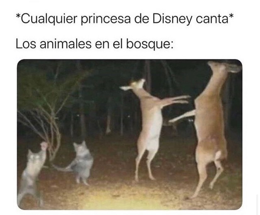 *Cualquier princesa de Disney canta*  Los animales en el bosque: