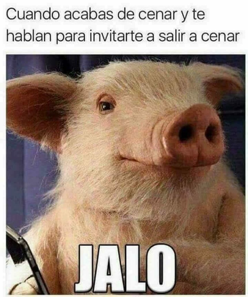 Jalo meme