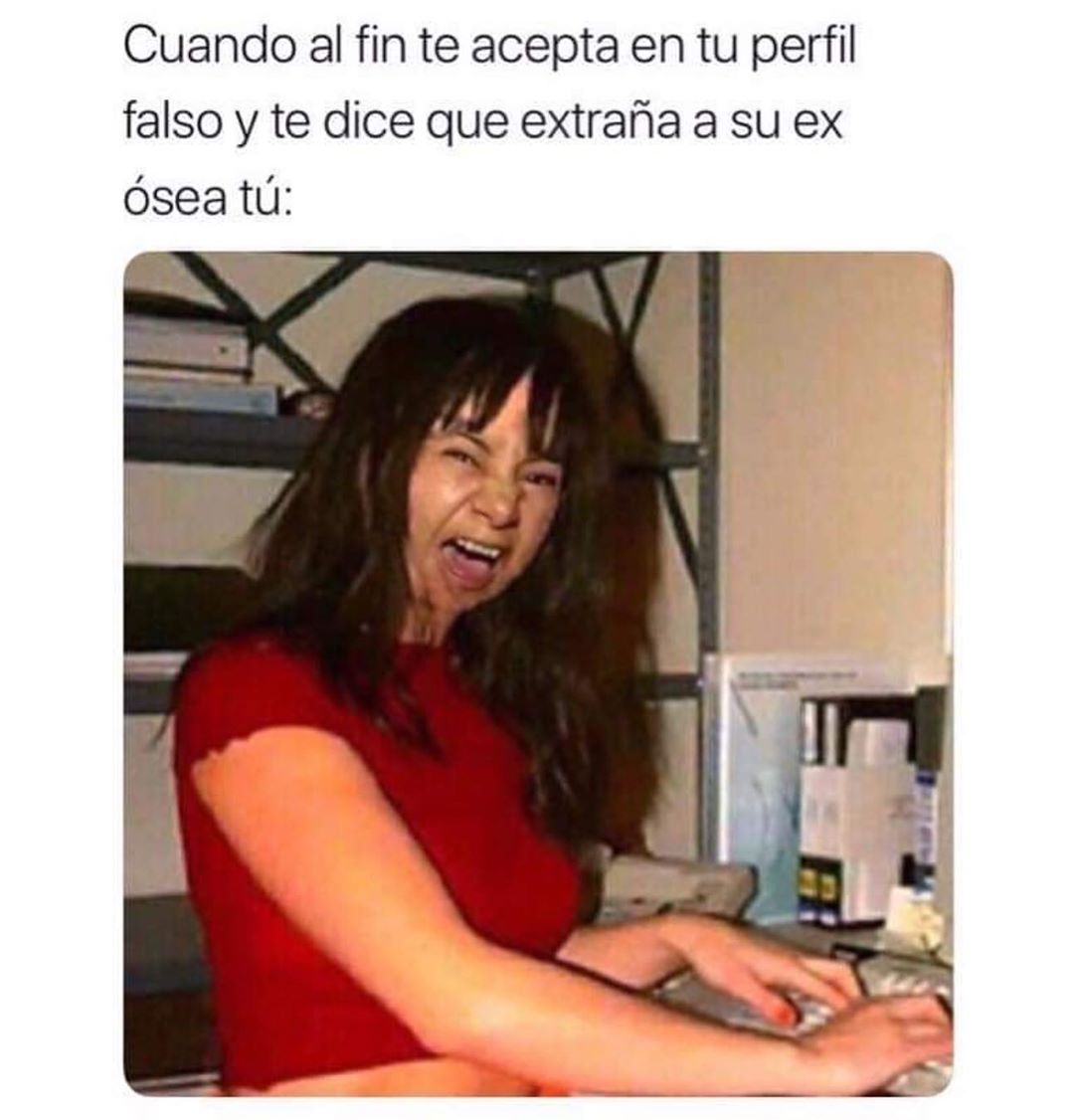 Cuando Al Fin Te Acepta En Tu Perfil Falso Y Te Dice Que Extraña A Su Ex ósea Tú Memes 