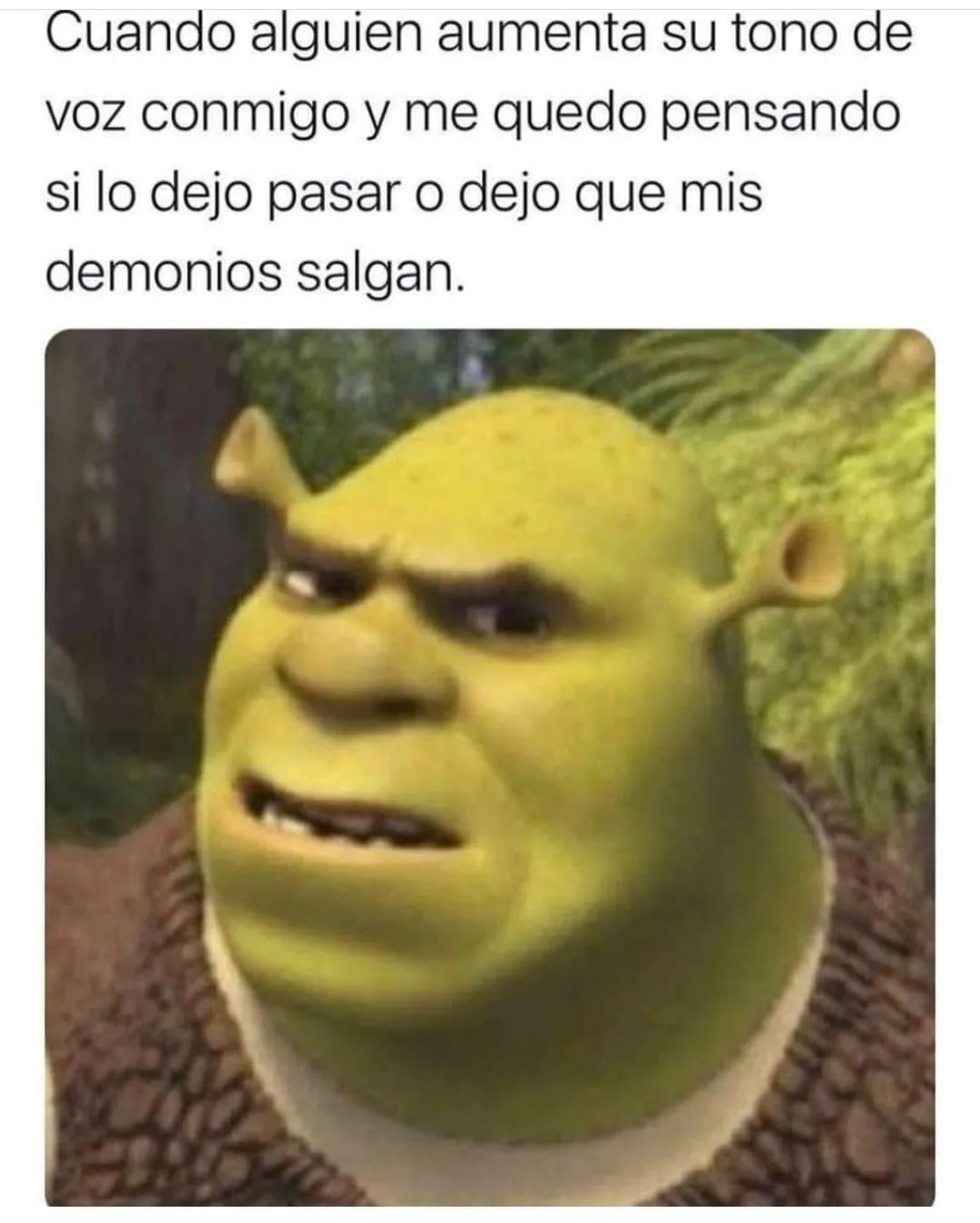 Shrek Мем. Shrek memes. Am i a joke to you
