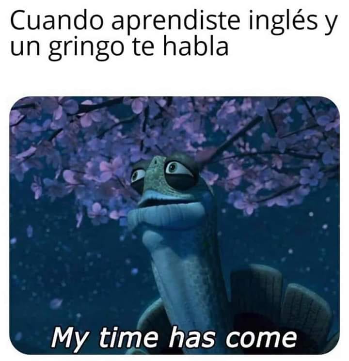 Cuando aprendiste inglés y un gringo te habla.  My time has come.