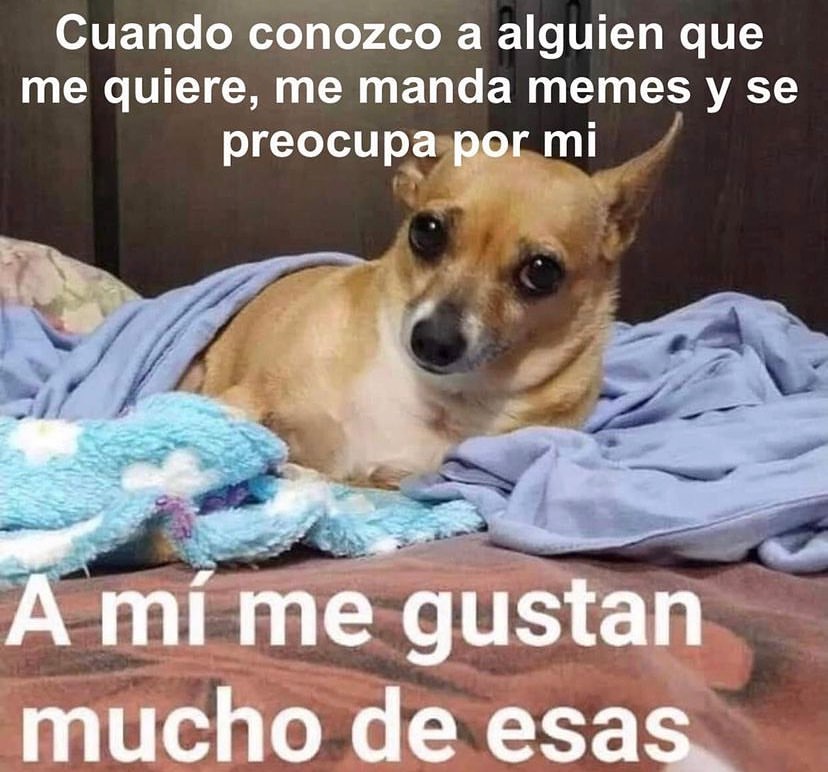 Cuando conozco a alguien que me quiere, me manda memes y se preocupa por mí.  A mí me gustan mucho de esas.