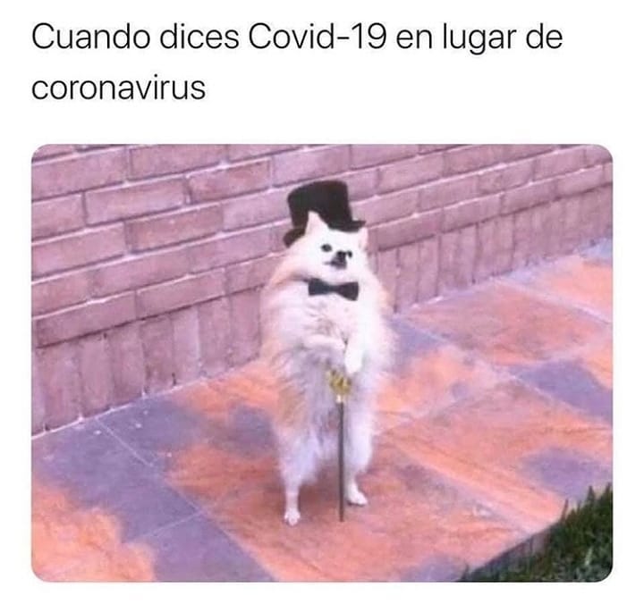 Cuando dices Covid-19 en lugar de coronavirus.