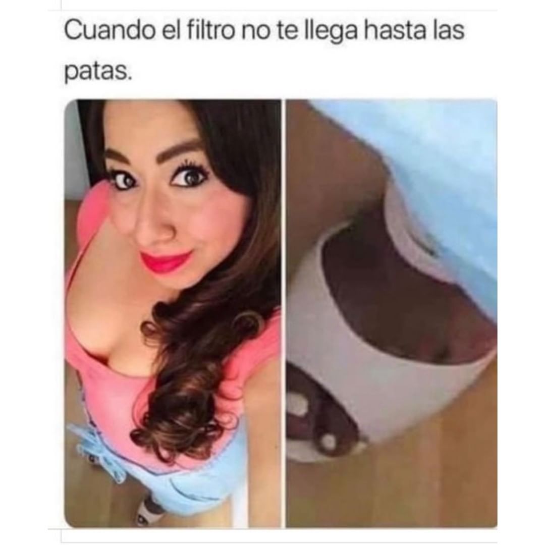 Cuando El Filtro No Te Llega Hasta Las Patas Memes 7073