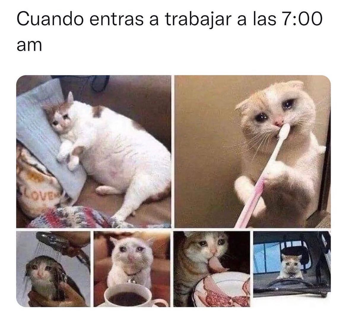 Cuando entras a trabajar a las 7:00 am