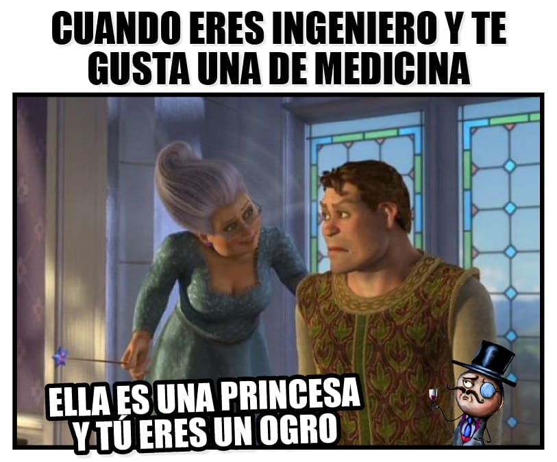 Cuando eres ingeniero y te gusta una de medicina. Ella es una princesa y tú eres un ogro.