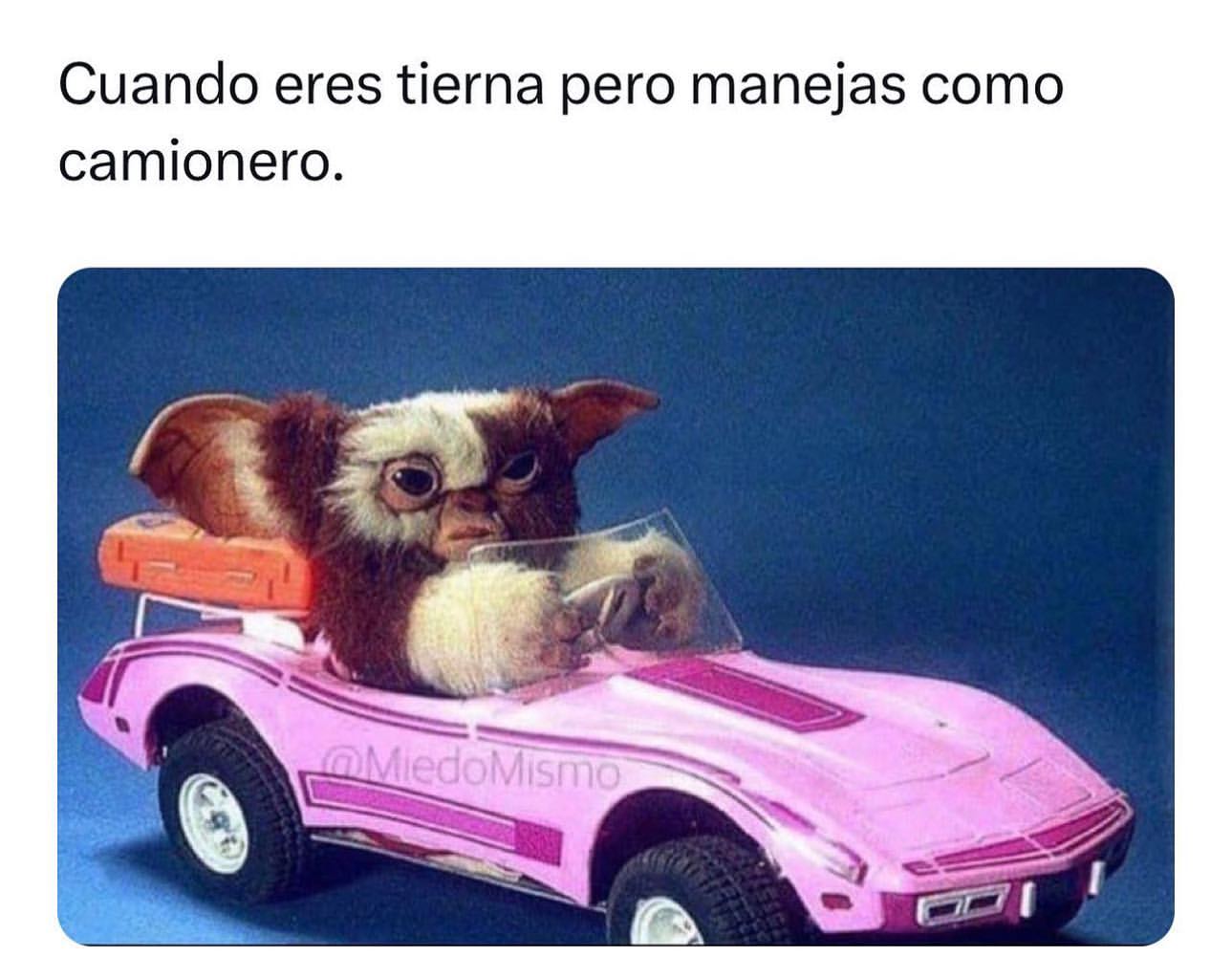 Cuando eres tierna pero manejas como camionero.