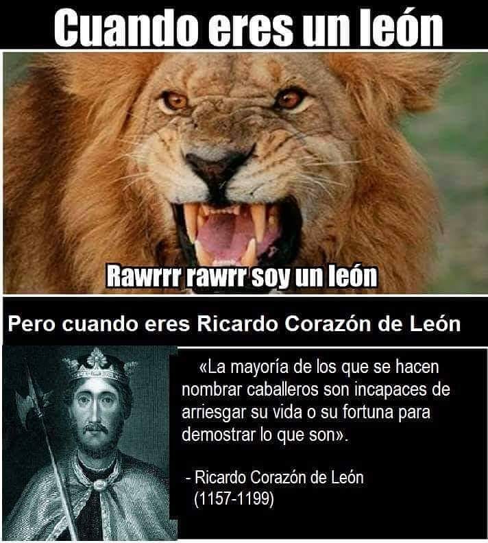 Cuando eres un león. Rawrr rawrr soy un león.  Pero cuando eres Ricardo Corazón de León.  La mayoría de los que se hacen nombrar caballeros son incapaces de arriesgar su vida o su fortuna para demostrar lo que son. Ricardo Corazón de León (1157-1199).