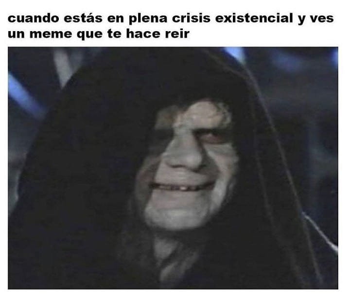 Cuando estás en plena crisis existencial y ves un meme que te hace reír.