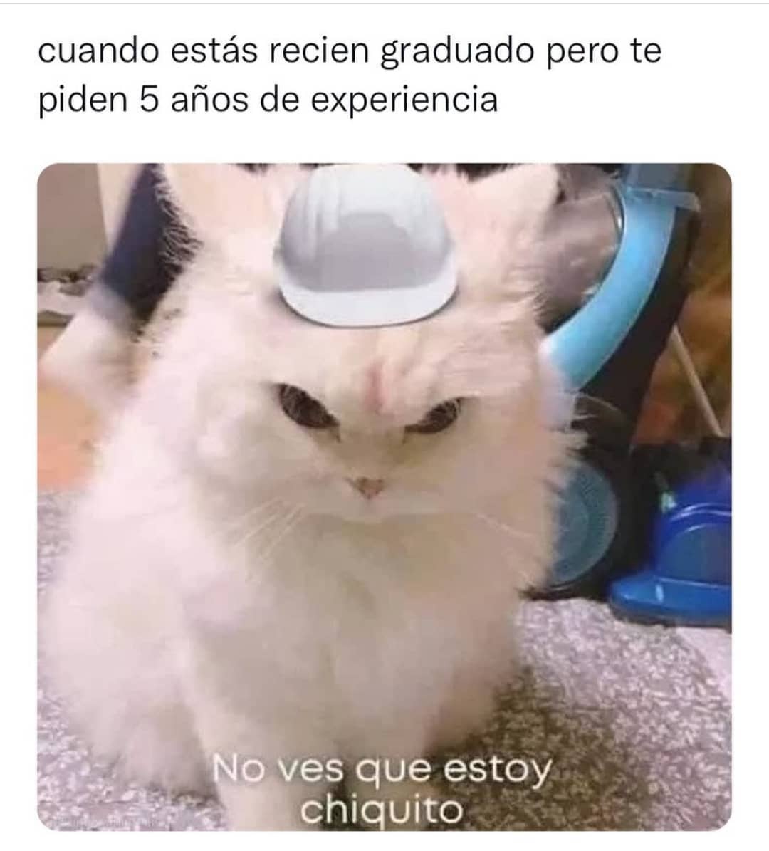 Cuando estás recién graduado pero te piden 5 años de experiencia. No ves que estoy chiquito.