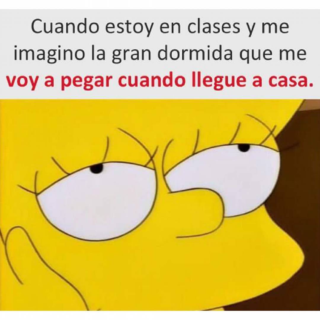 Cuando Estoy En Clases Y Me Imagino La Gran Dormida Que Me Voy A Pegar Cuando Llegue A Casa Memes 