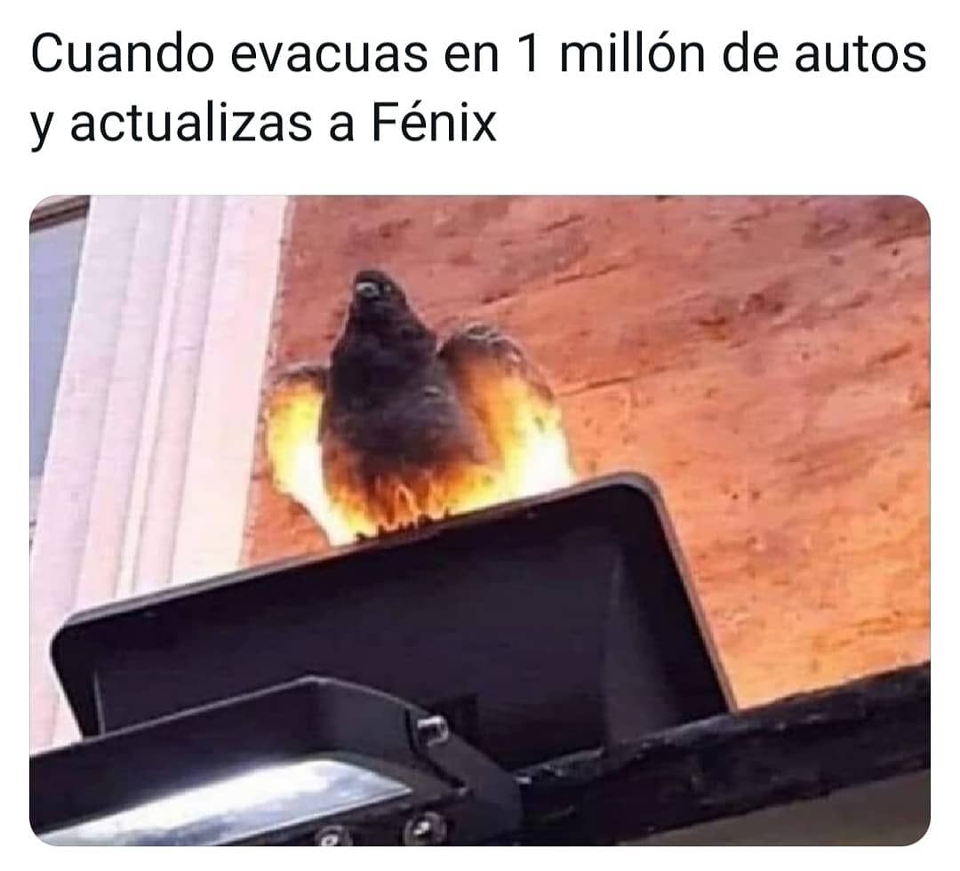 Cuando evacuas en 1 millón de autos y actualizas a Fénix.