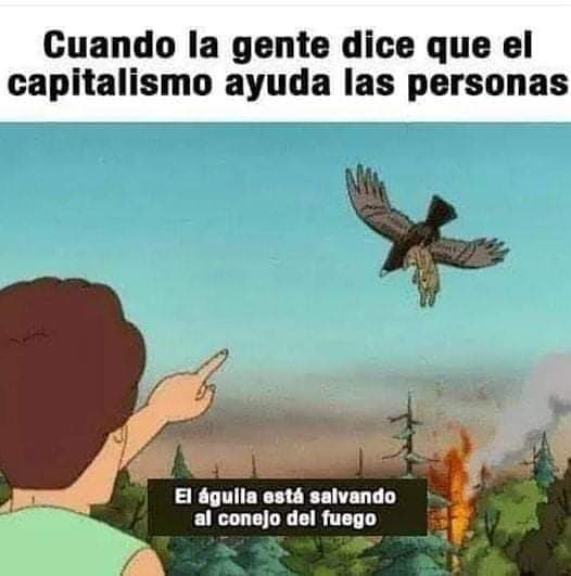 Cuando la gente dice que el capitalismo ayuda las personas.  El águila está salvando al conejo del fuego.