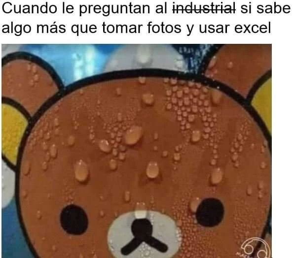 Cuando le preguntan al industrial si sabe algo más que tomar fotos y usar excel.