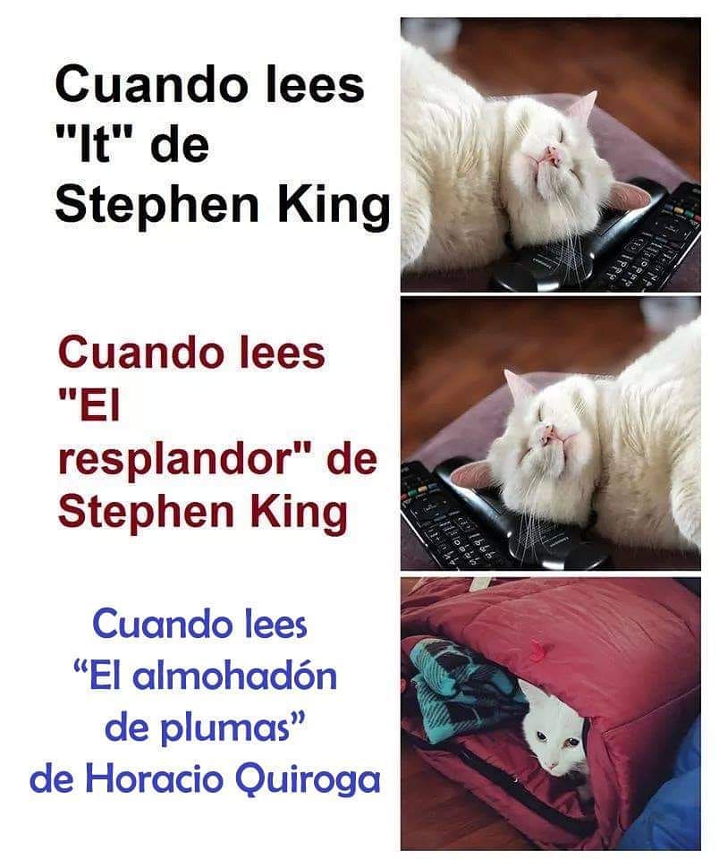 Cuando lees "It" de Stephen King.  Cuando lees "El Resplandor" de Stephen King.  Cuando lees "El Almohadón de Plumas" de Horacio Quiroga.