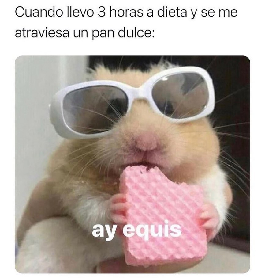 Cuando llevo 3 horas a dieta y se me atraviesa un pan dulce. Ay equis.