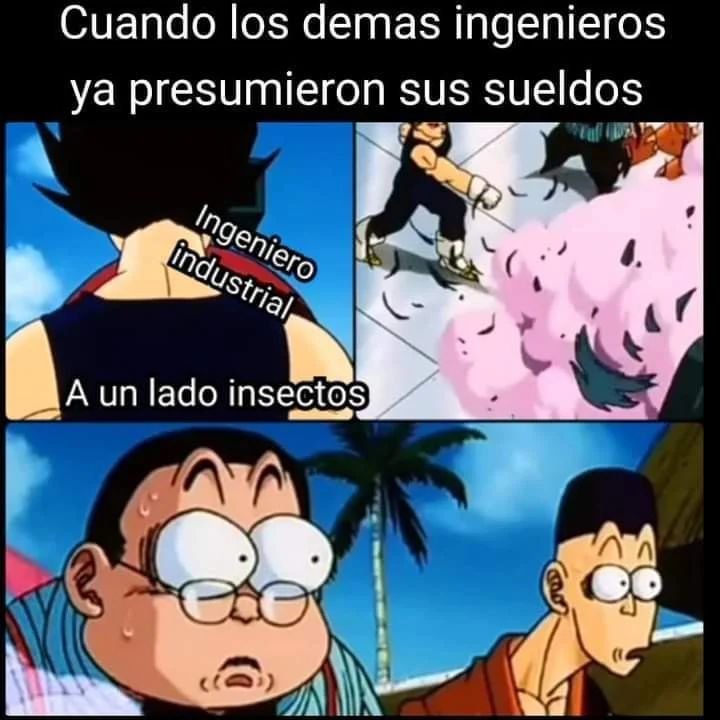 Cuando los demás ingenieros ya presumieron sus sueldos.  Ingeniero industrial. A un lado insectos.