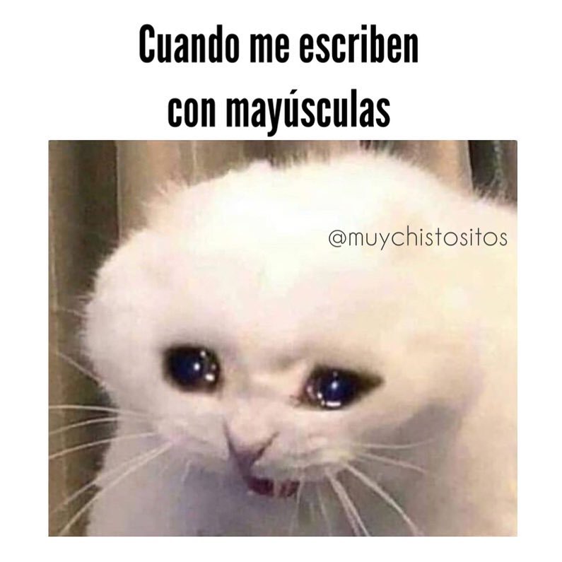 Cuando me escriben con mayúsculas.