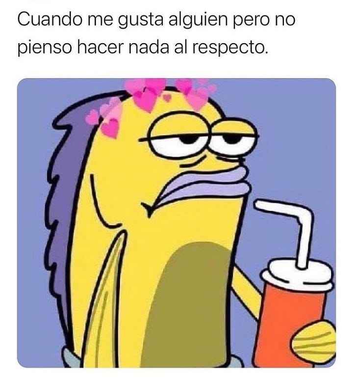 Cuando Me Gusta Alguien Pero No Pienso Hacer Nada Al Respecto Memes