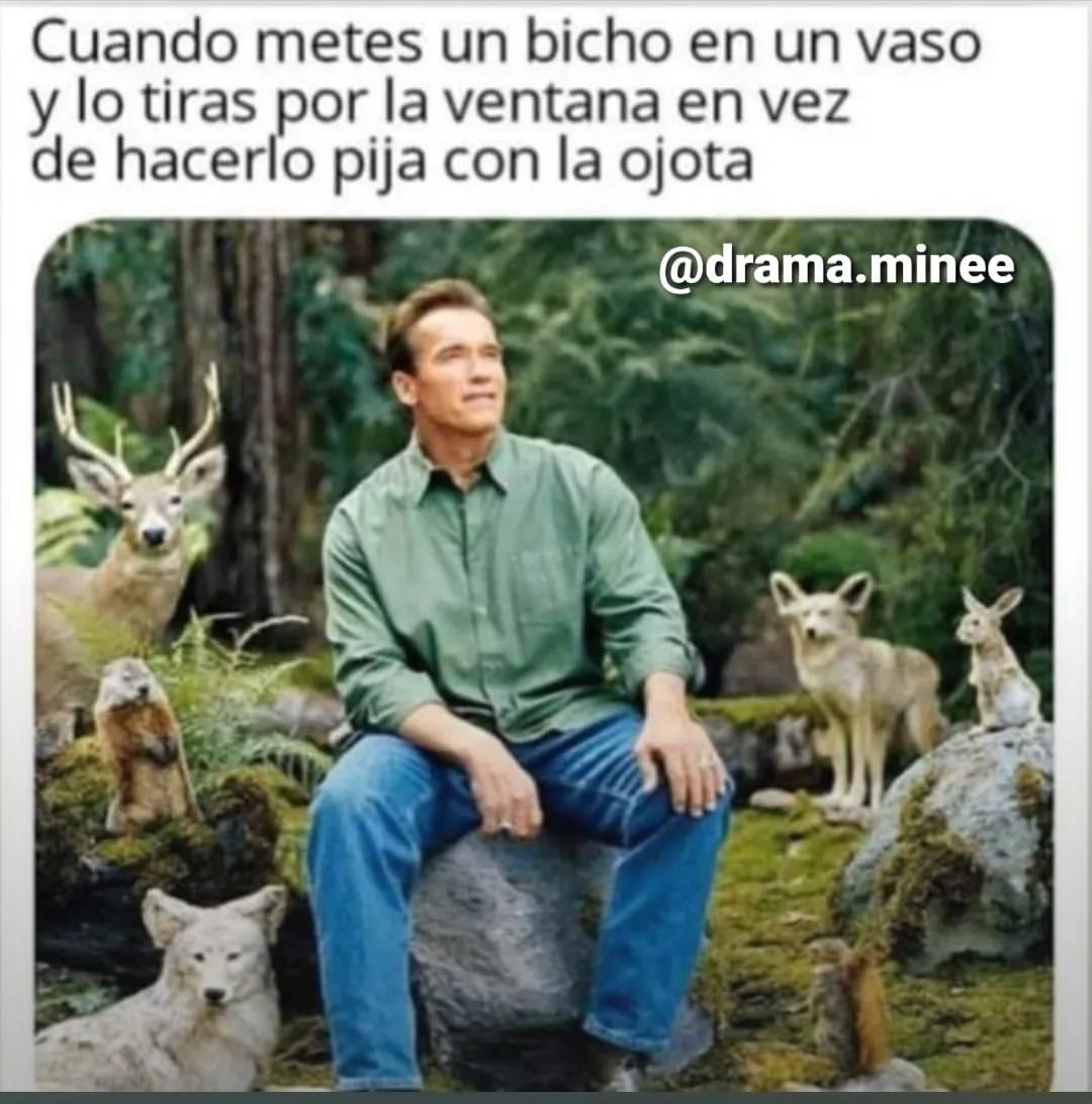 Cuando metes un bicho en un vaso y lo tiras por la ventana en vez de hacerlo pija con la ojota.