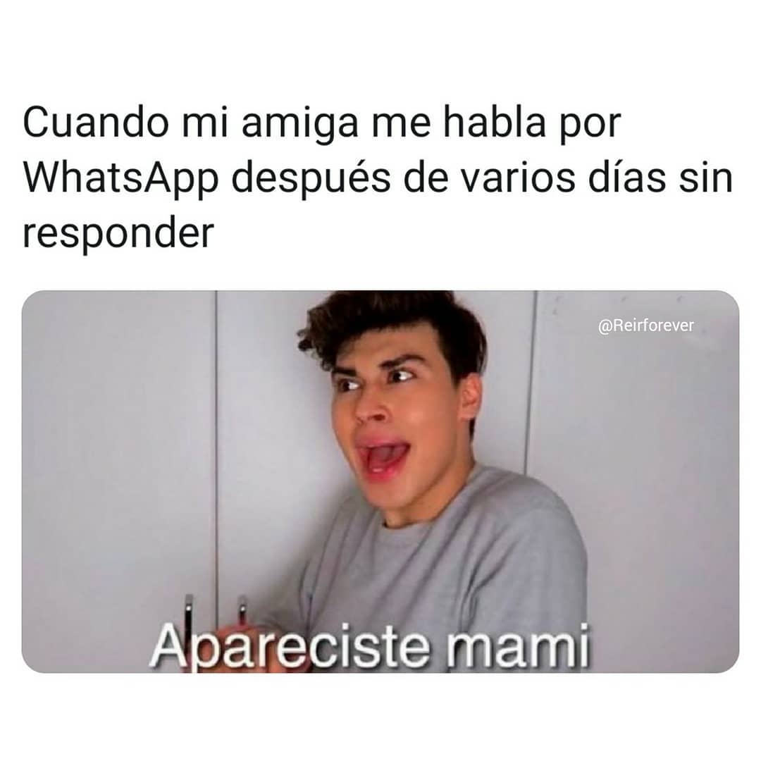 Cuando mi amiga me habla por WhatsApp después de varios días sin responder.  Apareciste mami.