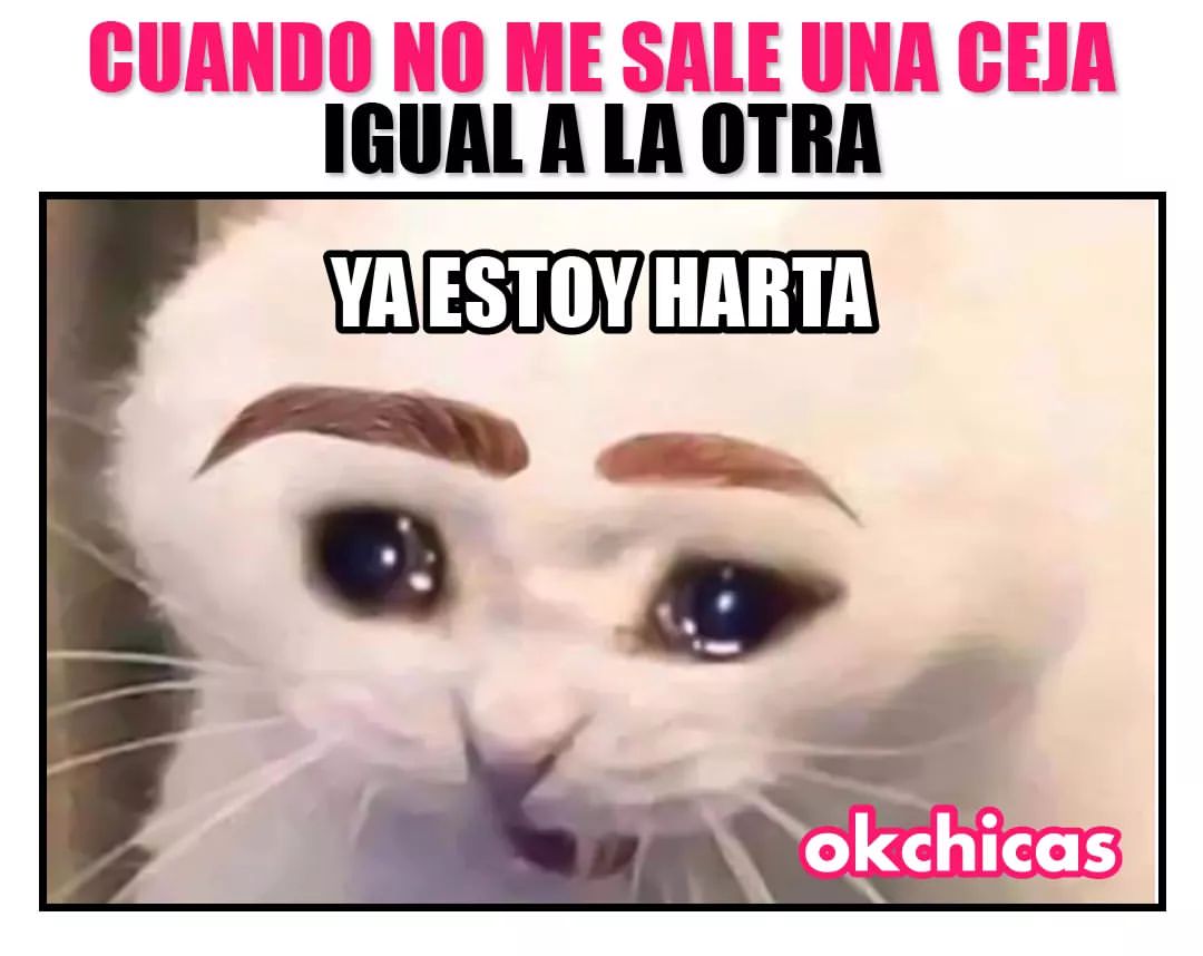 Cuando no me sale una ceja iguala la otra. Ya estoy harta.