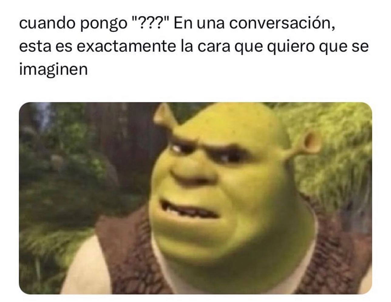 Cuando pongo "????" En una conversación, esta es exactamente la cara que quiero que se imaginen.