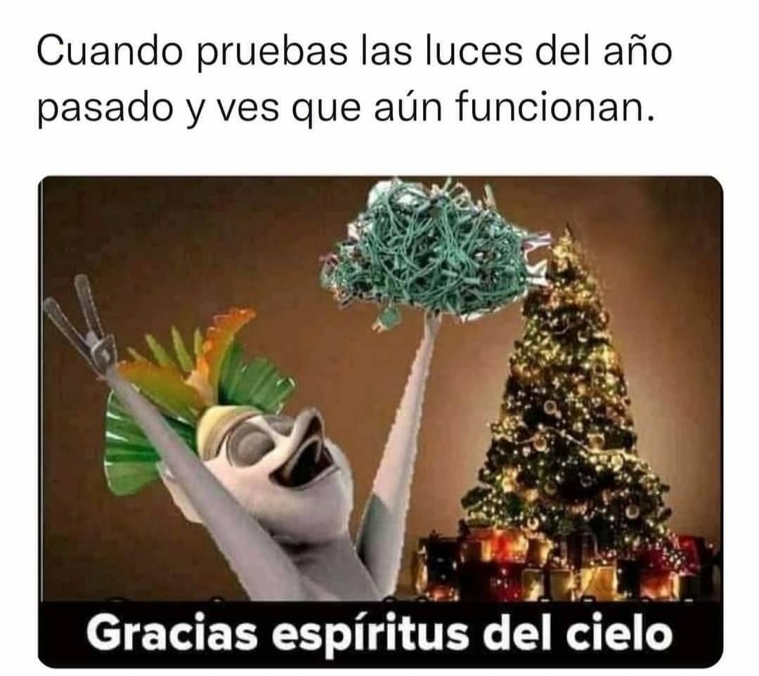 Cuando pruebas las luces del año pasado y ves que aún funcionan. Gracias espíritus del cielo.