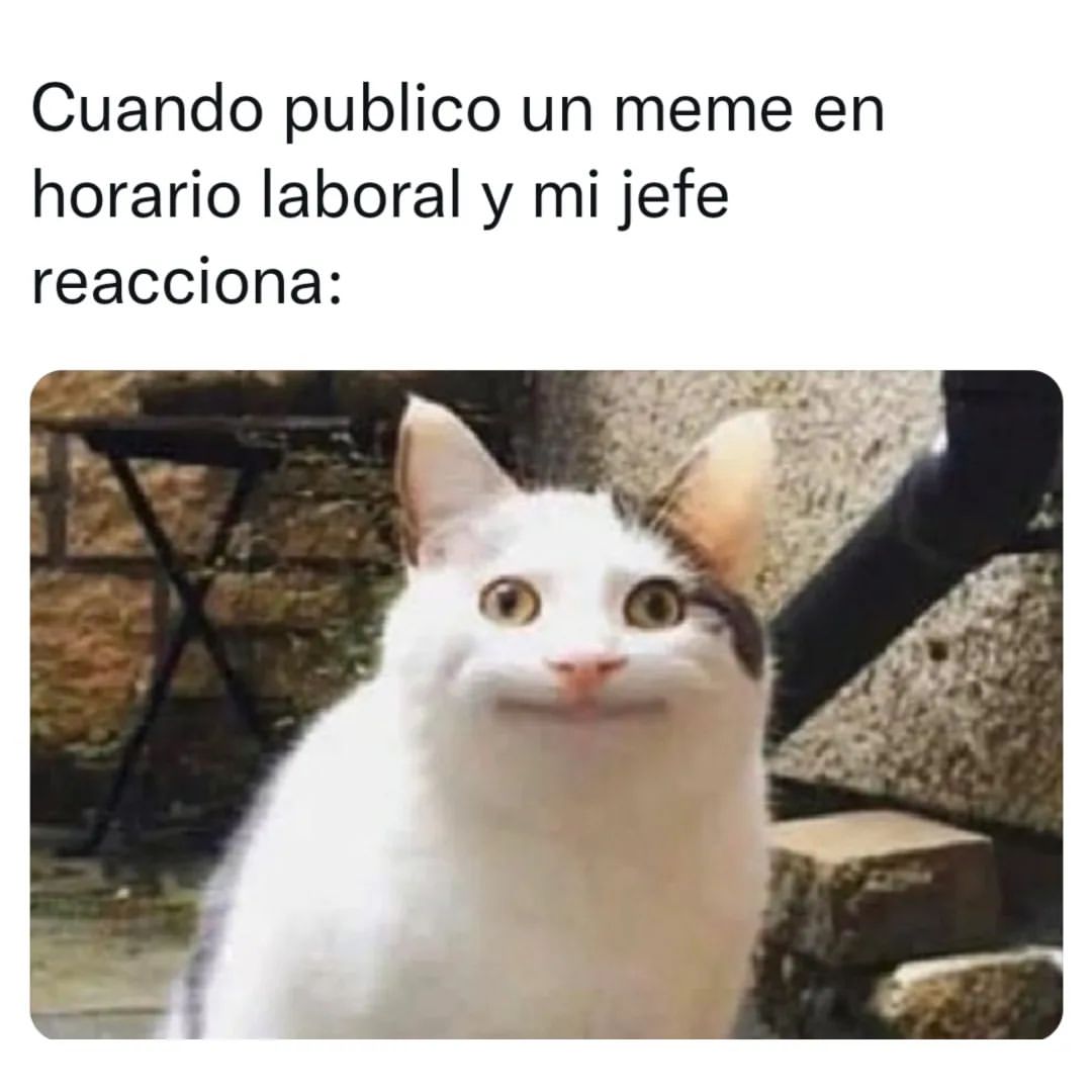 Cuando publico un meme en horario laboral y mi jefe reacciona: