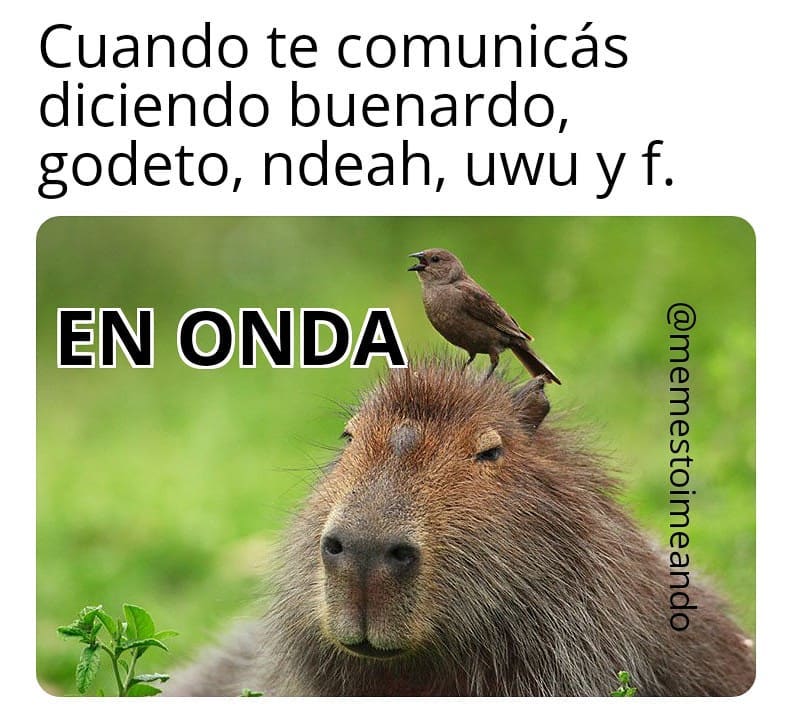 Cuando te comunicás diciendo buenardo, godeto, ndeah, uwu y f. En onda.