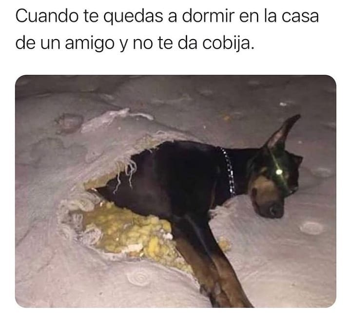 Cuando te quedas a dormir en la casa de un amigo y no te da cobija.