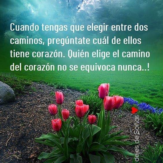 Cuando tengas que elegir entre dos caminos, pregúntate cuál de ellos tiene corazón. Ouién elige el camino del corazón no se equivoca nunca..!