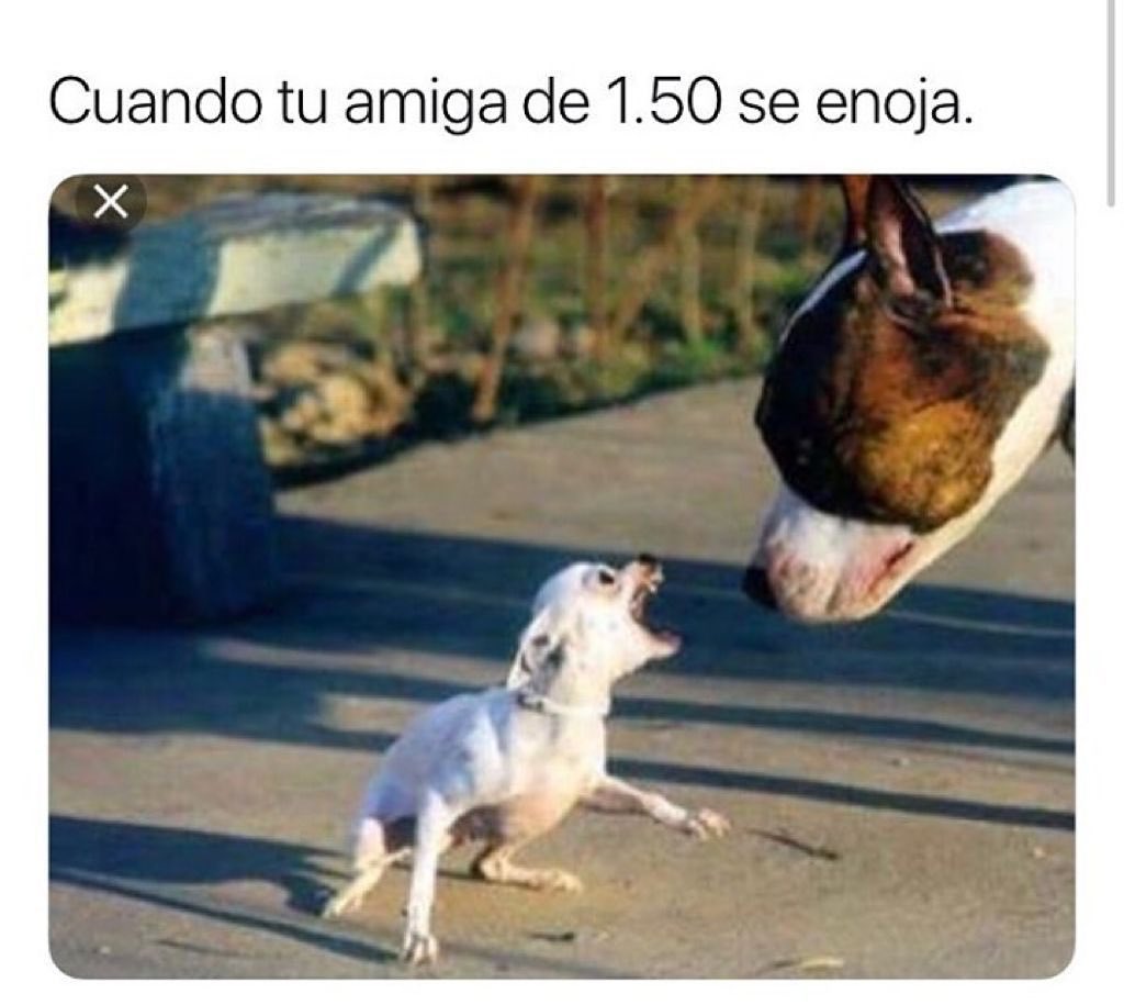 Cuando Tu Amiga De 150 Se Enoja Memes 8753