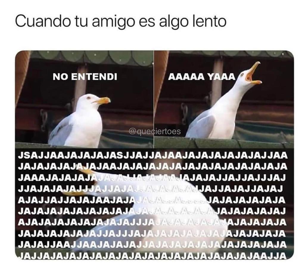 Cuando tu amigo es algo lento no entendi aaaaa yaaa jsajjaajajajajasjjajjajaajajajajajajajjaa jajajaja jaajajajajajajajajajajajajaja jaaajajaja jjaja.waj40uaj& 's ajajjajjajajaajajao ajajajajajajyá$ajjja jajajjajjajjjaj ajjajajjajaj ajajajajaja ajajajajaj jajajaja jajajajajajájjajjja.iájajaja&a'ja jajajaja ajjajajajajajajajajajaüajajajajajajaajja.