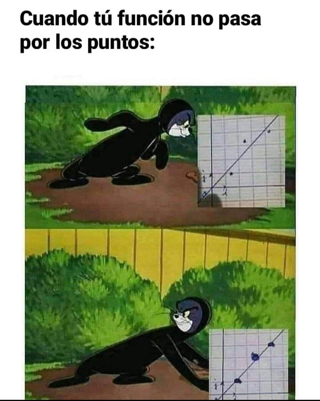 Cuando tu función no pasa por los puntos: